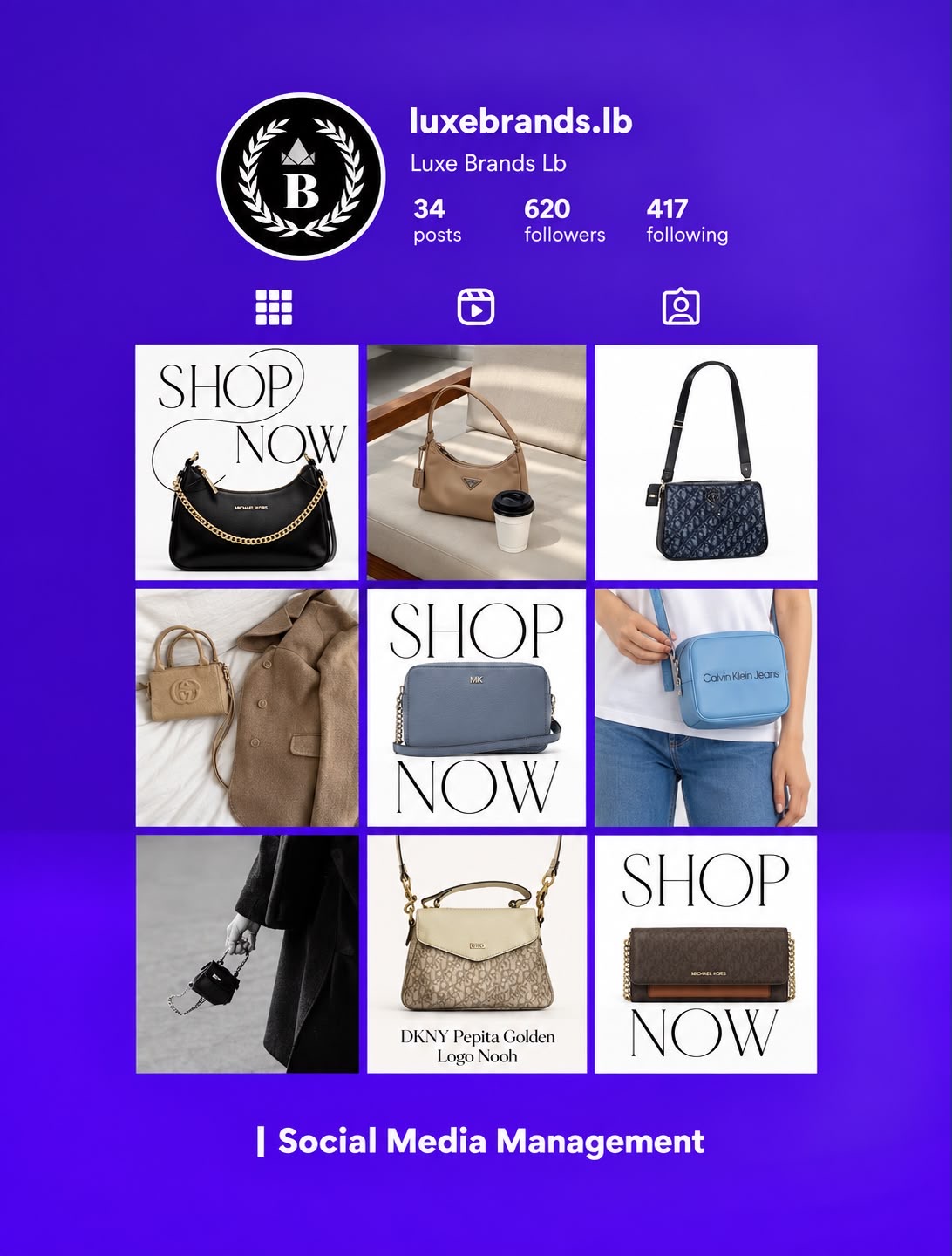 Luxe Brands LB social media project